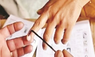 डीसी के सहायक कोच आमरे ने IPL 2024 में जीटी के खिलाफ पंत की 44 रन की पारी की सराहना की