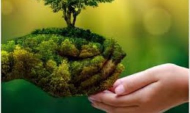 पेटीएम ट्रैवल कार्निवल में घरेलू उड़ानों पर डील, ट्रेन और बस बुकिंग पर छूट