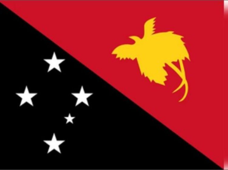 पापुआ न्यू गिनी में भूस्खलन में लगभग 100 लोगों के मरने की आशंका