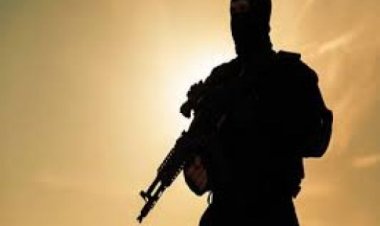 सीरिया में तुर्किये के ड्रोन हमले में अमेरिका समर्थित चार लड़ाके मारे गये : कुर्द समूह