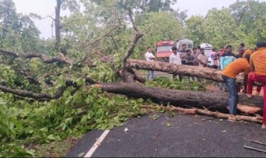 अचानक आयी आँधी तूफ़ान ने मचाई तबाही