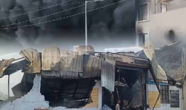 विदिशा में पूर्व भाजपा विधायक की पेस्टिसाइड्स फैक्ट्री में आग, लोगों को जहरीले धुएं से दूर रहने की हिदायत