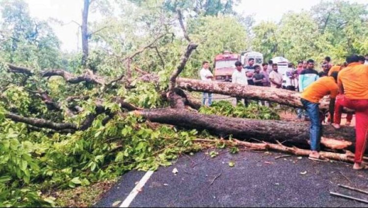 आँधी-तूफान ने मचाई तबाही पेड़-खंभे गिरे, वाहनों के पहिए थमे