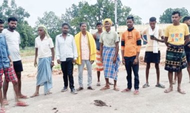 कोयला परिवहन में लगे ट्रेलर की टक्कर से गाय की मौत