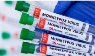 नेशनल फिल्म अवॉर्ड्स में एक बार फिर रीजनल मूवीज व साउथ एक्टर्स का दबदबा