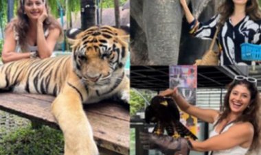 निहाल, रुद्रांश मिश्रित 50 मीटर पिस्टल एसएच1 फाइनल में नहीं बना पाए जगह