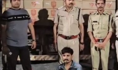 आलीराजपुर में जोबट पुलिस ने पकड़ी 75 लाख की शराब:दो ट्रकों से 2,460 पेटी माउंट बीयर जब्त, दो गिरफ्तार, जांच जारी