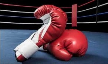 पार्थवी, वंशिका, हेमंत के स्पर्ण से भारतीय मुक्केबाजों ने अंडर-19 विश्व चैंपियनशिप में 17 पदक जीते