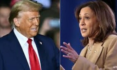 किन राज्यों में कमला हैरिस से आगे निकले डोनाल्ड ट्रंप?