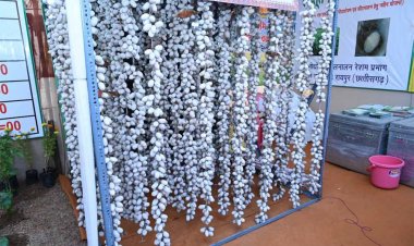 रेशम उत्पादन की प्रक्रिया समझने उमड़ रही भीड़