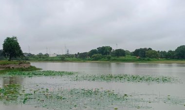 धार में उत्तरी हवाओं के कारण ठंड बढी:न्यूनतम तापमान 12 डिग्री तक पहुंचा, तीन दिन ऐसा ही रहेगा मौसम