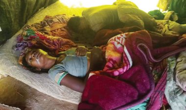 ईंट भट्ठा में तंबू के अंदर मजदूर दंपति की मिली लाश, जांच