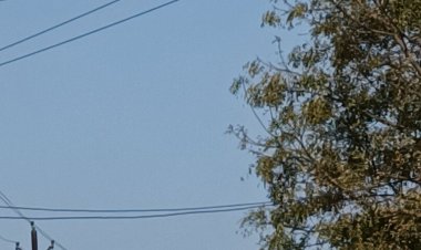 मौसम साफ होते ही 4 डिग्री पर पहुंचा न्यूनतम पारा:दिन में धूप से राहत; 21 पर रहेगा अधिकतम तापमान