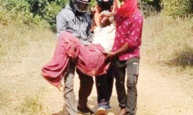 मधुमक्खियों का हमला, बुजुर्ग सहित कई घायल