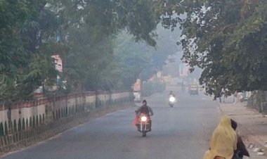 धार में दिन-रात का तापमान बढ़ा:पिछले 48 घंटों से कम हुआ शीतलहर का असर; 1 फरवरी से वेस्टर्न डिस्टर्बेंस होगा एक्टिव