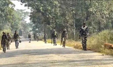 इंद्रावती नेशनल पार्क के जंगल में बुलाई थी बैठक, 100 KM पैदल चलकर जवानों ने ढेर किए 31 नक्सली