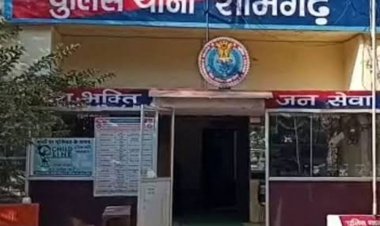 मंदसौर में पिकअप से 4 गोवंश बरामद:दो आरोपी गिरफ्तार, शामगढ़ पुलिस ने पिछलाखेड़ी के बीच घेराबंदी कर पकड़ा