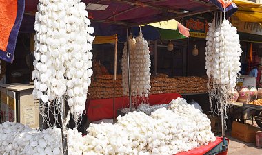 होली का बाजार ...