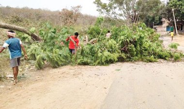 एनएच 343 में पेड़ों की कटाई शुरु, जल्द सडक़ निर्माण प्रारंभ होने की उम्मीद