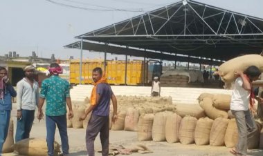 गेहूं उपार्जन पंजीयन तिथि 9 अप्रैल तक बढ़ी:2600 रुपए प्रति क्विंटल पर होगा गेहूं उपार्जन; मोबाइल से घर बैठे कर सकते हैं स्लॉट बुकिंग