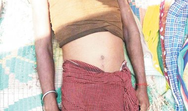 सल्फी उतारने पेड़ पर चढ़ा युवक, गिरने से मौत