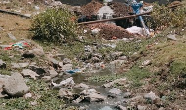 मुंज तालाब में मिल रहा नालों का गंदा पानी:अमृत-2 योजना में सौन्दर्यीकरण का प्रस्ताव, नई कॉलोनियों से भी बढ़ा प्रदूषण