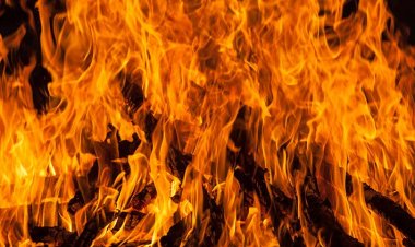 हैदराबाद जा रही रायपुर की बस में लगी आग