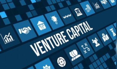 भारत का पीई-वीसी बाजार 2024 में 9 प्रतिशत बढ़कर 43 बिलियन डॉलर पर पहुंचा: रिपोर्ट