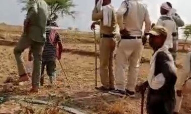 बांधवगढ़ टाइगर रिजर्व में 150 हेक्टेयर जंगल पर अवैध कब्जा:झोपड़ियां बनाकर की जा रही खेती, 50 सदस्यीय टीम ने किया चिह्नित, जल्द हटाया जाएगा