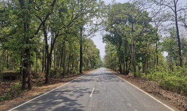 नांदगांव से खैरागढ़ और मानपुर का रास्ता होगा चौड़ा, कटेंगे हजारों पेड़