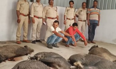 ₹6 लाख से कम में धांसू SUV? Tata Punch और Hyundai Exter हैं Top Choice, Features जानकर चौंक जाएंगे!