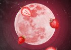 11 जून को आसमान में दिखेगा Strawberry Moon …