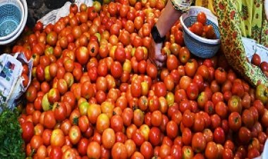 बेमौसम बारिश ने बिगाड़ा सब्जी बाजार, कीमतें छूने लगीं आसमान