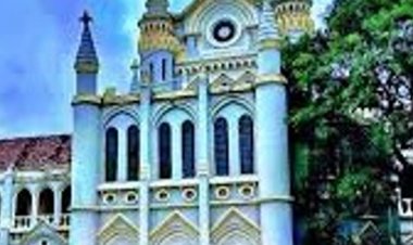 भोपाल से कांग्रेस विधायक आरिफ मसूद पर FIR के निर्देश:फर्जी दस्तावेजों से कॉलेज की ली थी मान्यता; एसआईटी करेगी जांच