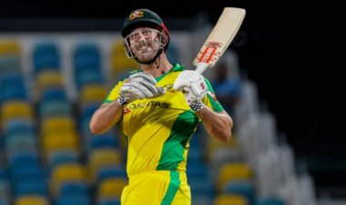 शिवपुरी में चेहल्लुम पर निकले 32 से अधिक ताजिए:हिंदू-मुस्लिम एकता की दिखी मिसाल, शिया मुस्लमानों के साथ