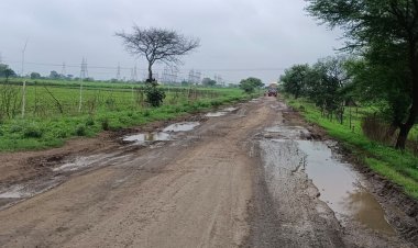 सरदारपुर विधानसभा की दो सड़कें बदहाल:कुक्षी और भोपावर मार्ग पर उखड़ा डामर, गड्ढों और धूल से परेशान वाहन चालक