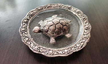 घर में कछुआ रखने से खुलते हैं सुख-समृद्धि के द्वार, जानें सही वास्तु नियम