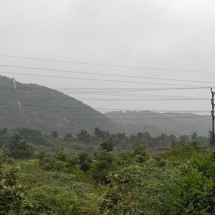 दतिया में 42 मिमी बारिश हुई, मौसम ठंडा हुआ:खेतों में पानी भरने से धान की फसल को 50% तक नुकसान का अंदेशा