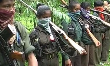 नक्सली खात्मे के लिए जंगलों में उतरे सुरक्षा बल:मार्च 2026 तक नक्सलमुक्त का लक्ष्य; बालाघाट में SP ने हॉक फोर्स-CRPF तैनात किए