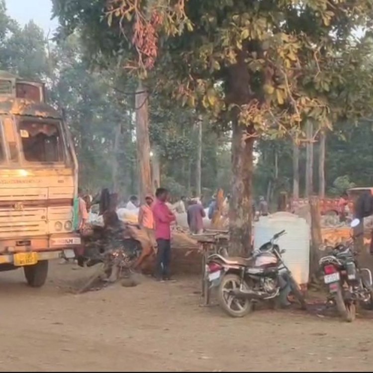 उमरिया में धान परिवहन धीमा, कलेक्टर ने दिए निर्देश:52% धान का ही उठाव, शेष के लिए ट्रांसपोर्टर को नोटिस