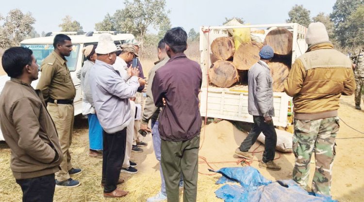 साल लकड़ी का अवैध परिवहन, जब्त