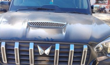 शराब की बोतल लेकर स्कार्पियो और बुलेट में स्टंट करते नजर आए युवक  वीडियो फैलते ही 2 वाहन जब्त